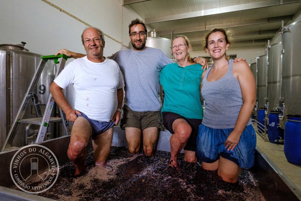 Harvest Experience at Quinta da Tôr 2019
