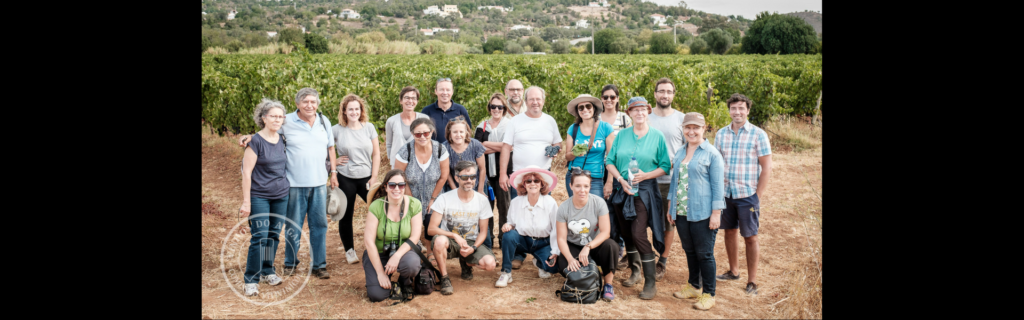 Harvast Workshop at Quinta da Tôr 2016